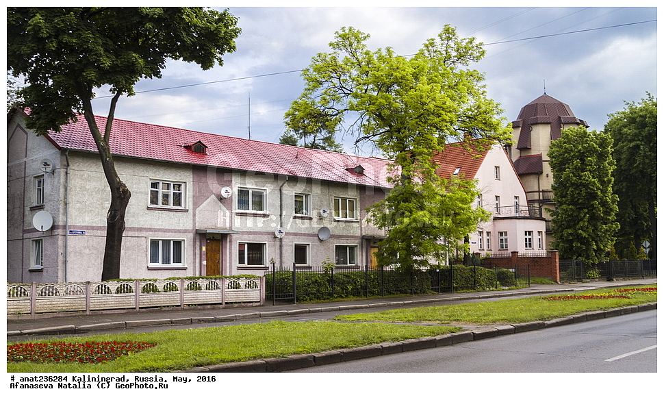 �����������, �����, ���������