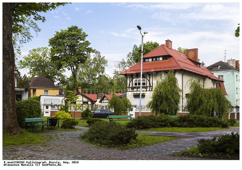 �����������, �����, ���������