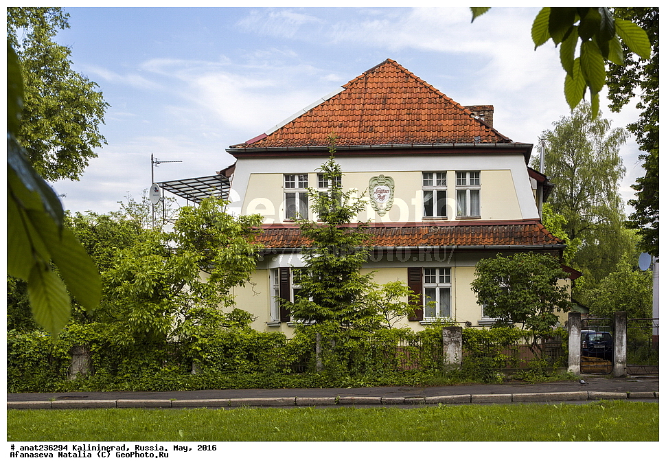 �����������, �����, ���������