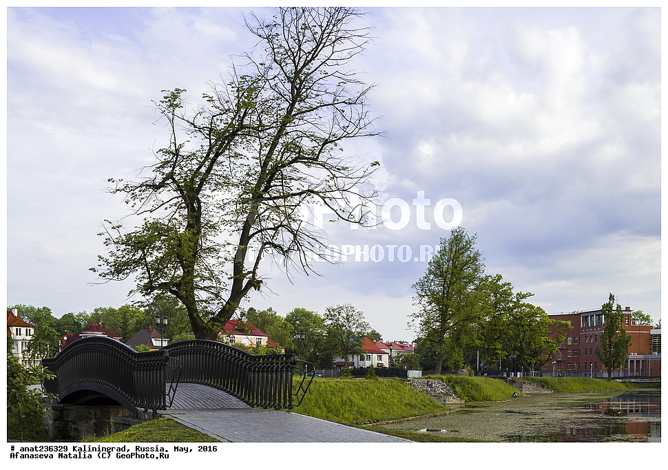 �����������, �����, ���������