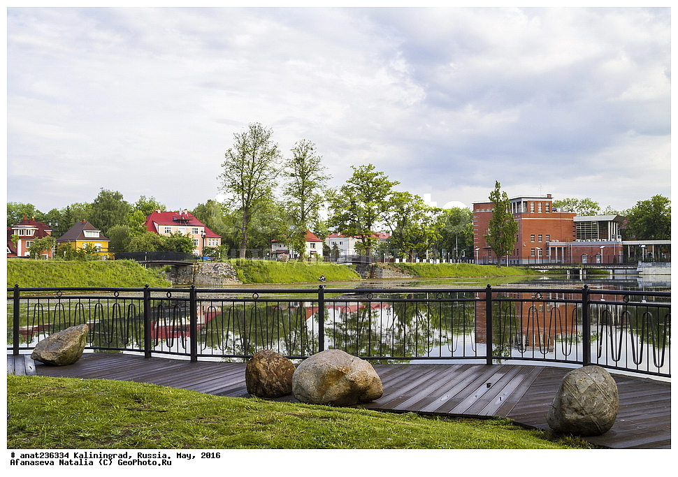 �����������, �����, ���������