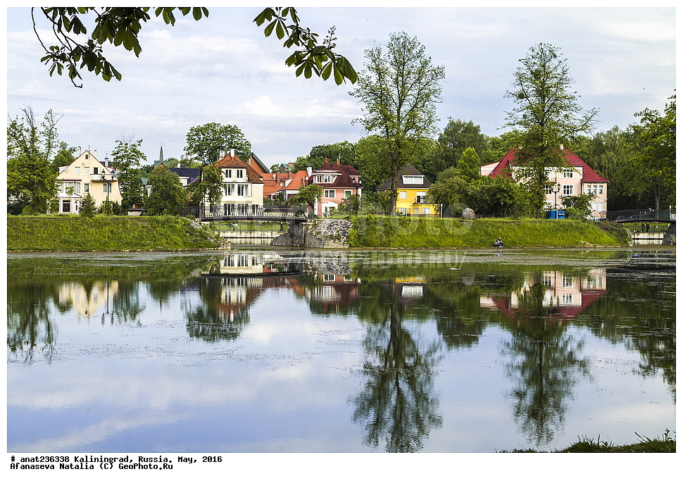 �����������, �����, ���������