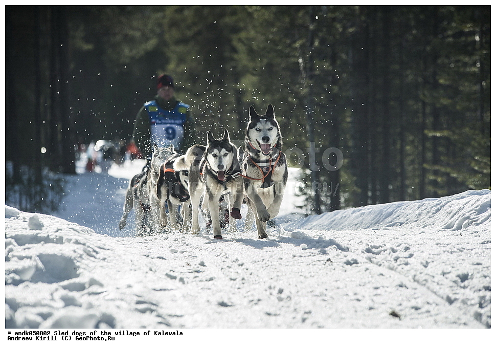 ������� ������, ������, �������, ��������, ������, ����