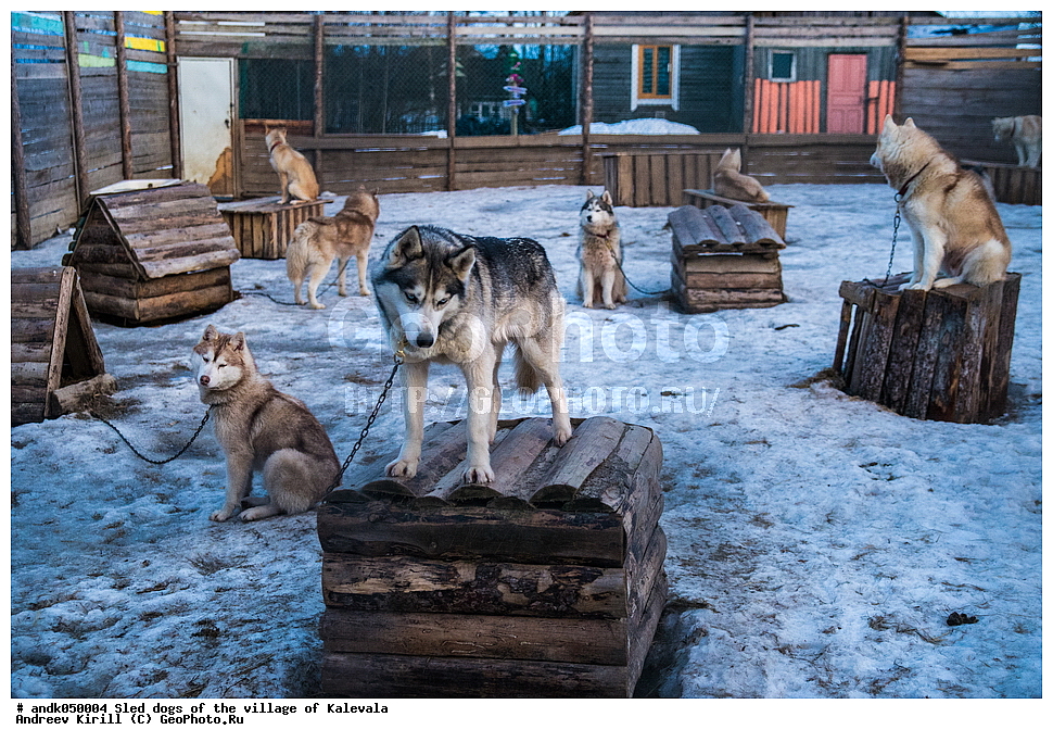 ������� ������, ������, �������, ��������, ������, ����