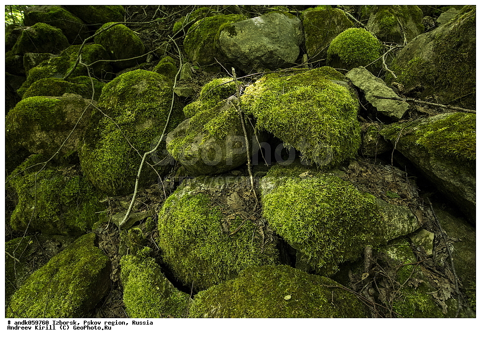 �������, ��������� �������, ������