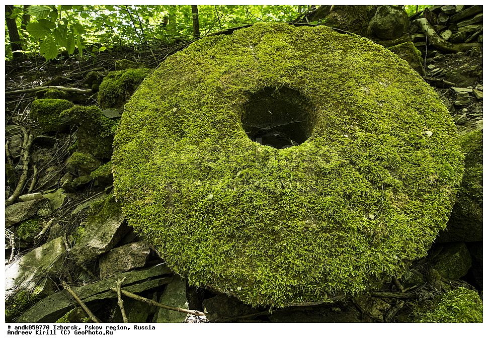 �������, ��������� �������, ������