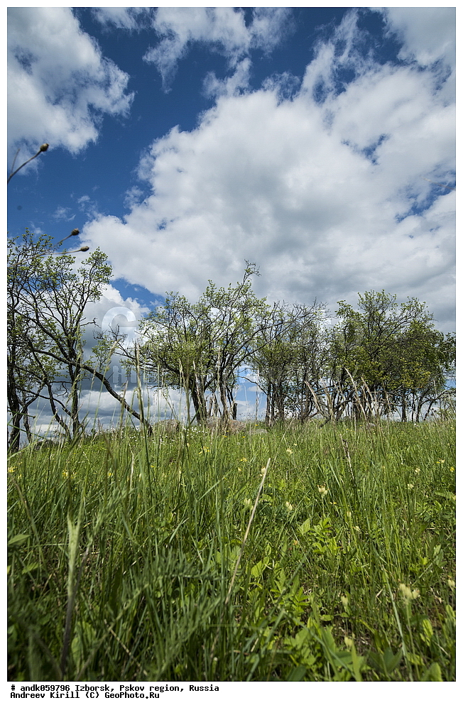 �������, ��������� �������, ������