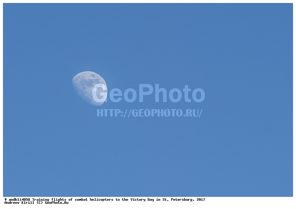 ������������� ������, ������ ���������,  ���� ������, 9 ���, �����-���������, ��������, ��������