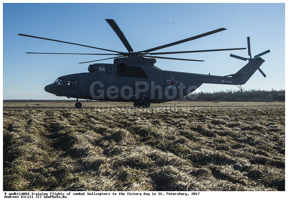 ������������� ������, ������ ���������,  ���� ������, 9 ���, �����-���������, ��������, ��������