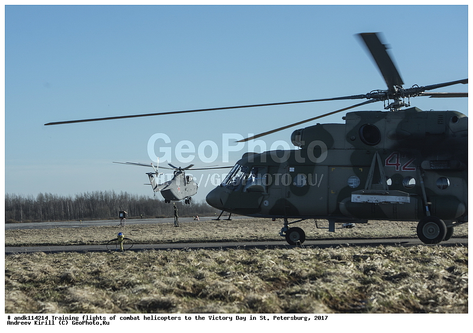 ������������� ������, ������ ���������,  ���� ������, 9 ���, �����-���������, ��������, ��������