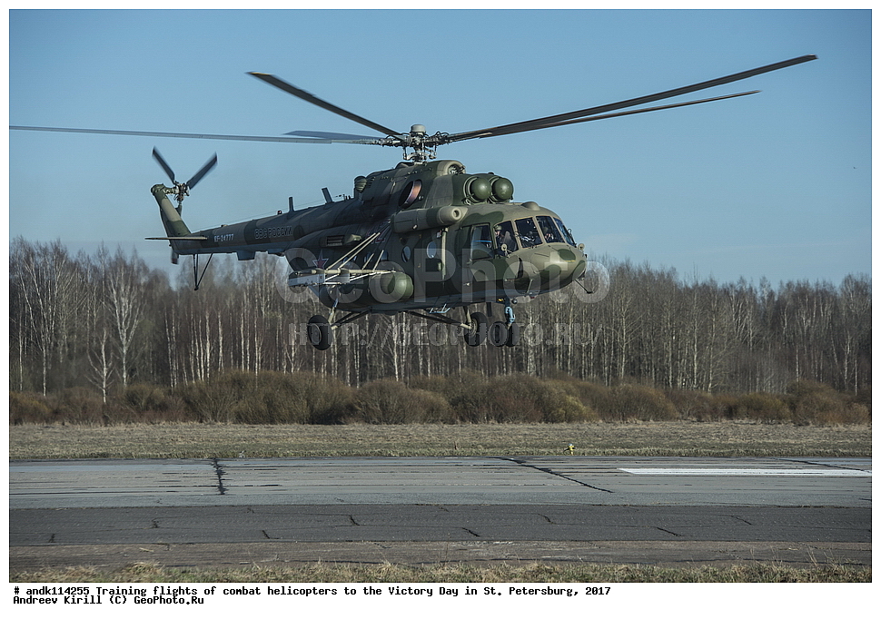 ������������� ������, ������ ���������,  ���� ������, 9 ���, �����-���������, ��������, ��������