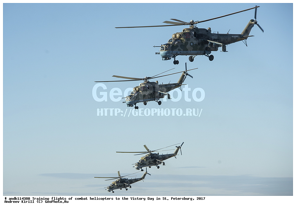 ������������� ������, ������ ���������,  ���� ������, 9 ���, �����-���������, ��������, ��������