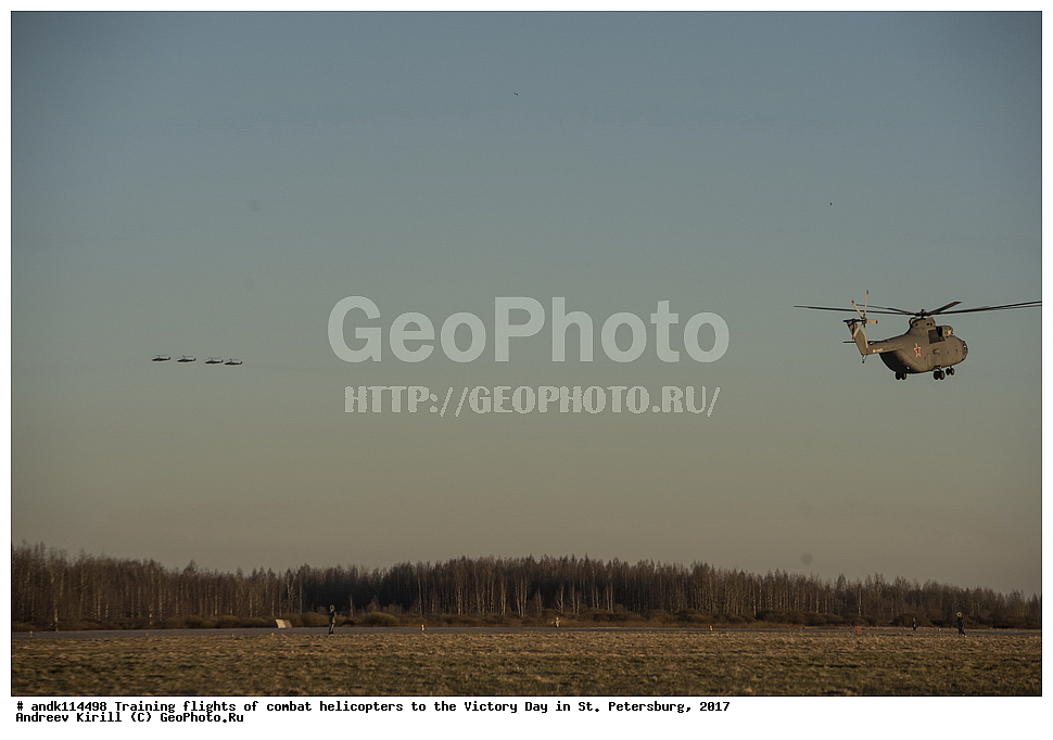 ������������� ������, ������ ���������,  ���� ������, 9 ���, �����-���������, ��������, ��������