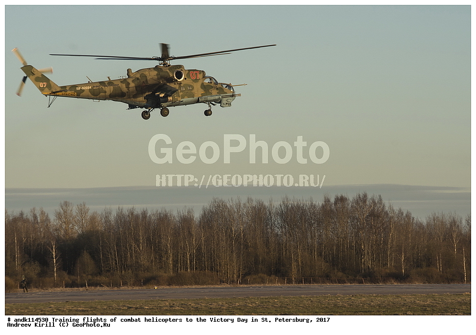 ������������� ������, ������ ���������,  ���� ������, 9 ���, �����-���������, ��������, ��������