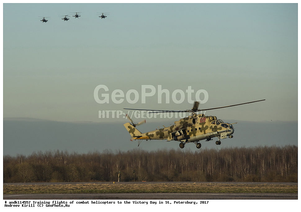 ������������� ������, ������ ���������,  ���� ������, 9 ���, �����-���������, ��������, ��������