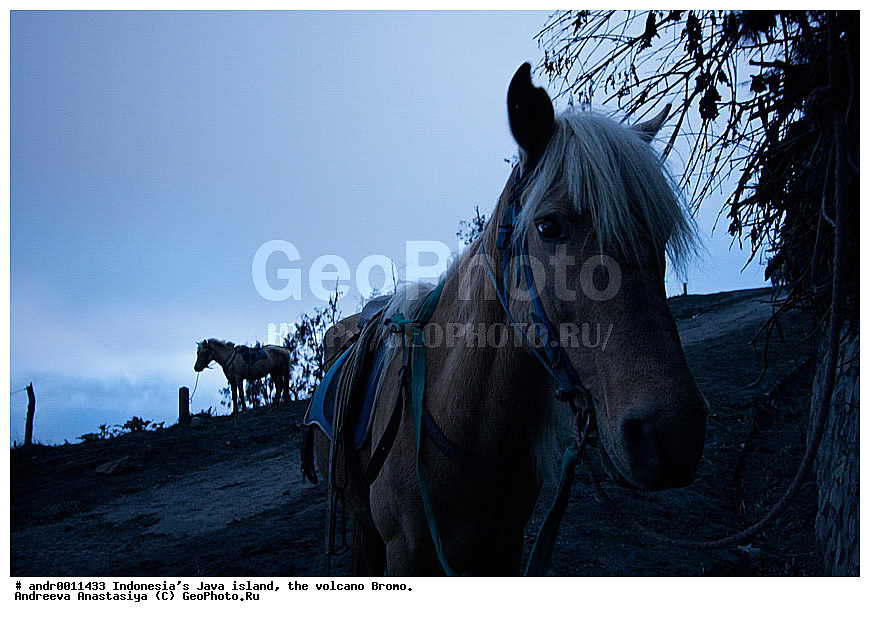 ���������, ������, ���, ������, �����, ����������, ��������, ��������� ��������, ��������� 