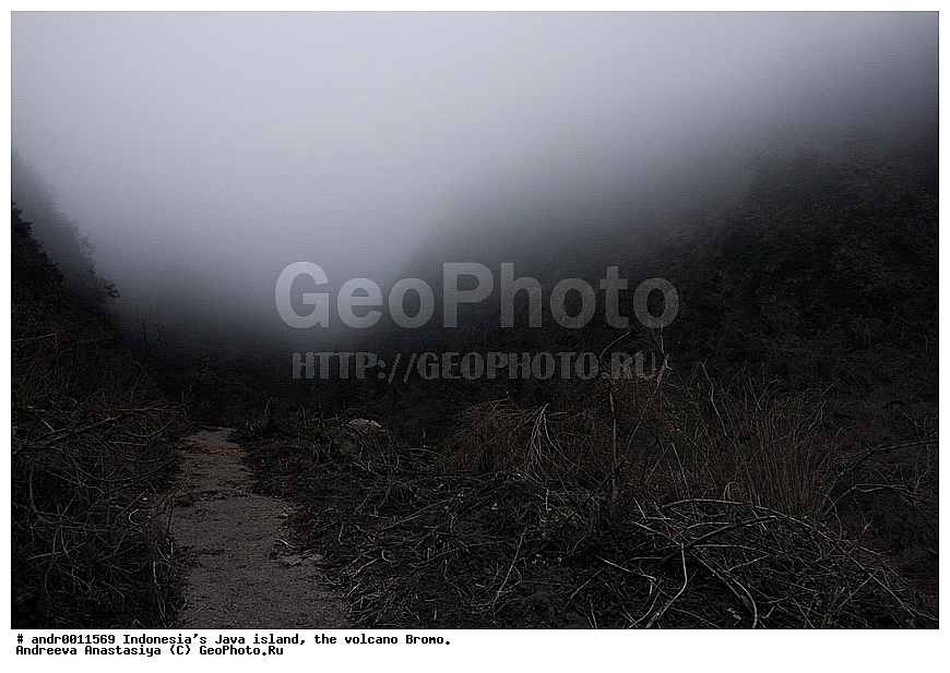 ���������, ������, ���, ������, �����, ����������, ��������, ��������� ��������, ��������� 