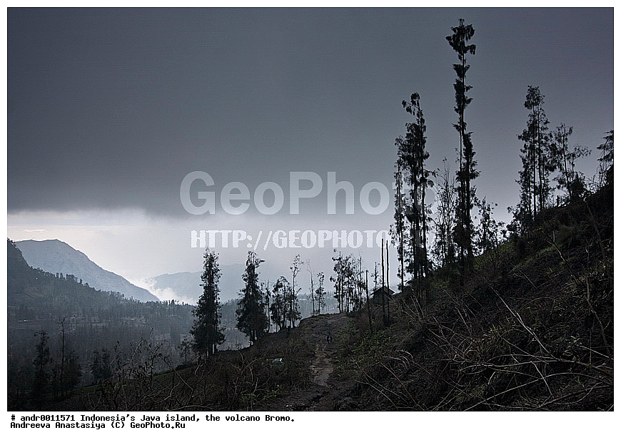 ���������, ������, ���, ������, �����, ����������, ��������, ��������� ��������, ��������� 