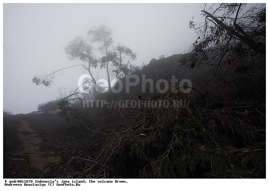 ���������, ������, ���, ������, �����, ����������, ��������, ��������� ��������, ��������� 