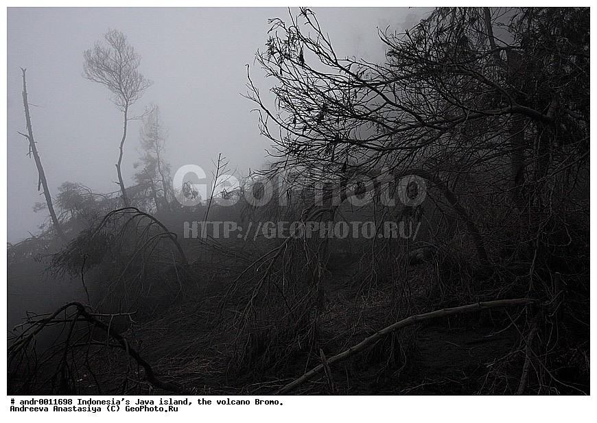 ���������, ������, ���, ������, �����, ����������, ��������, ��������� ��������, ��������� 