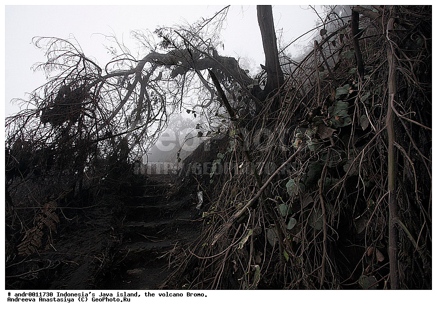 ���������, ������, ���, ������, �����, ����������, ��������, ��������� ��������, ��������� 