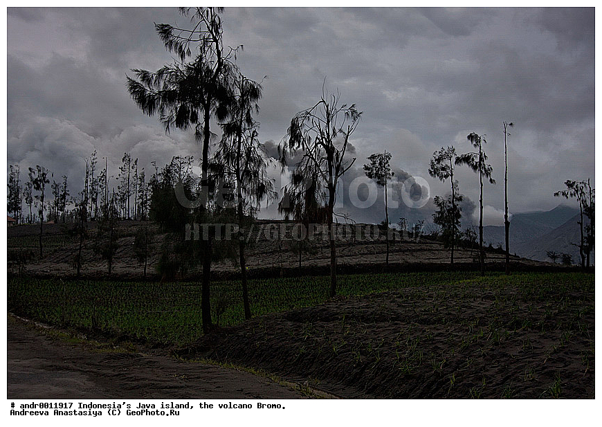 ���������, ������, ���, ������, �����, ����������, ��������, ��������� ��������, ��������� 