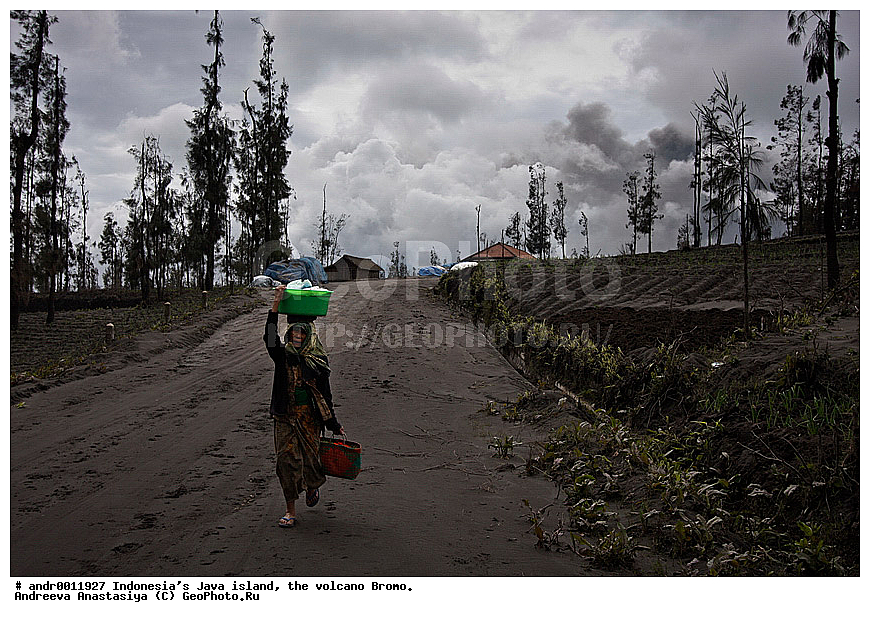 ���������, ������, ���, ������, �����, ����������, ��������, ��������� ��������, ��������� 