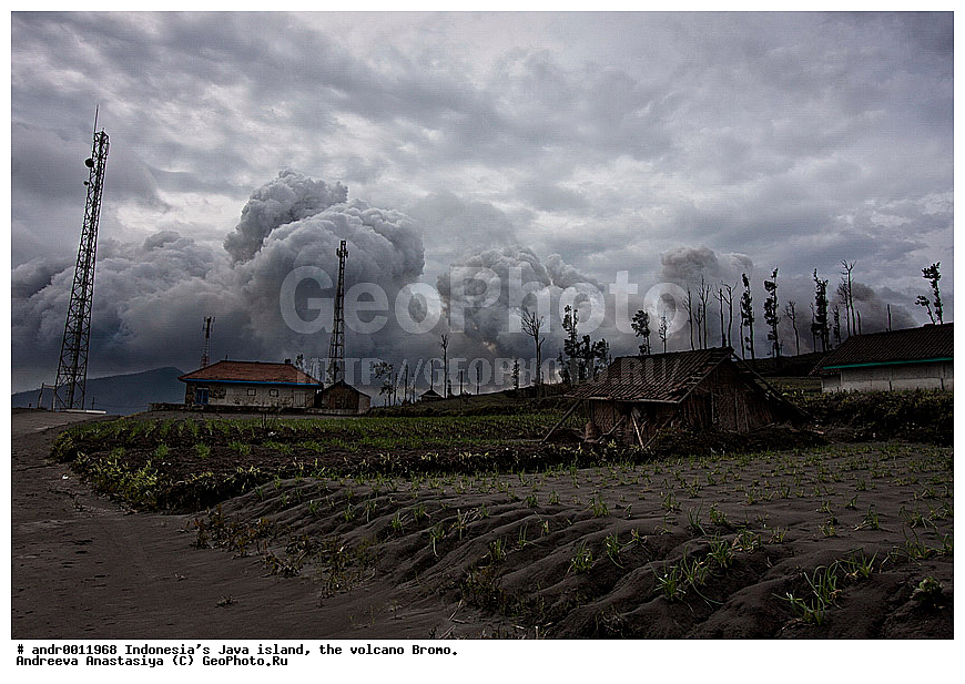 ���������, ������, ���, ������, �����, ����������, ��������, ��������� ��������, ��������� 