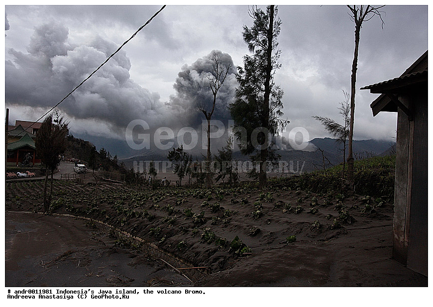 ���������, ������, ���, ������, �����, ����������, ��������, ��������� ��������, ��������� 