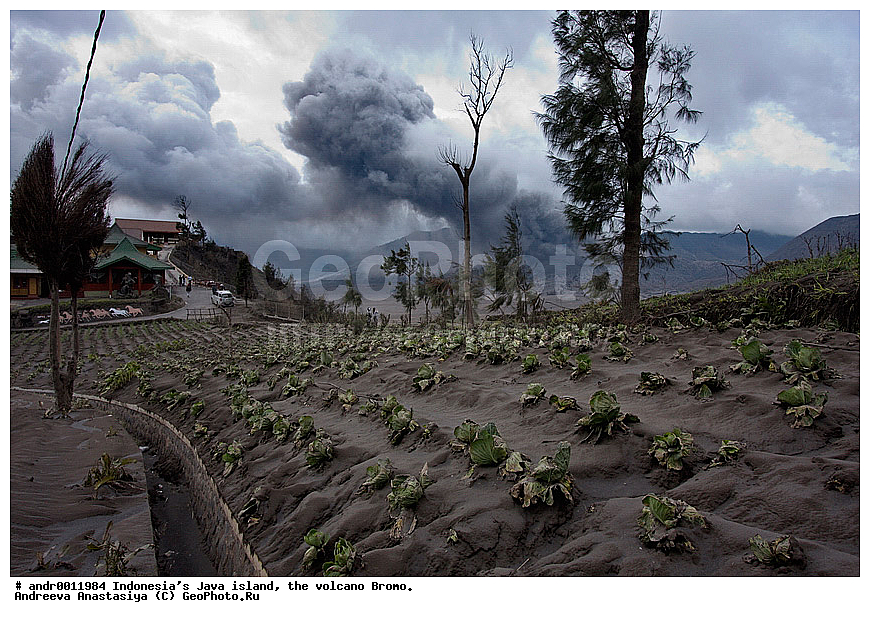 ���������, ������, ���, ������, �����, ����������, ��������, ��������� ��������, ��������� 