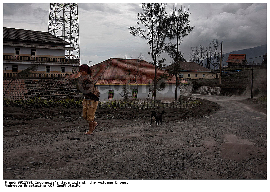 ���������, ������, ���, ������, �����, ����������, ��������, ��������� ��������, ��������� 