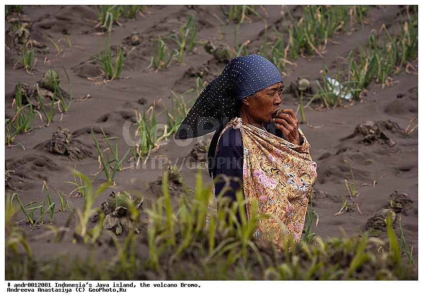 ���������, ������, ���, ������, �����, ����������, ��������, ��������� ��������, ��������� 