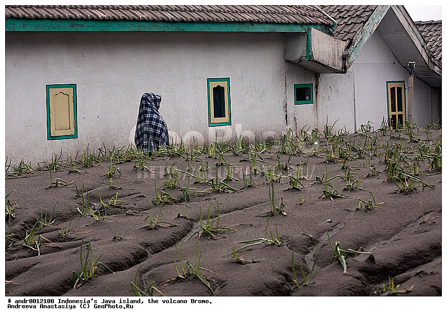 ���������, ������, ���, ������, �����, ����������, ��������, ��������� ��������, ��������� 