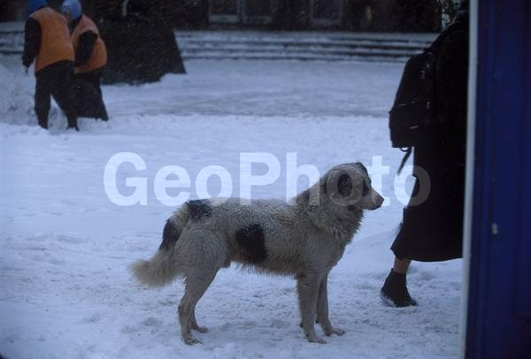 ����, ��������� ������, ������, ������ �����, �����, ����, ������