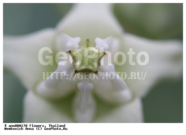 ����, �������, �����, �����, ������, �������, ��������, ������, ��������, ����������, ��������, �����������, �������, �����, ������, �����, ������������