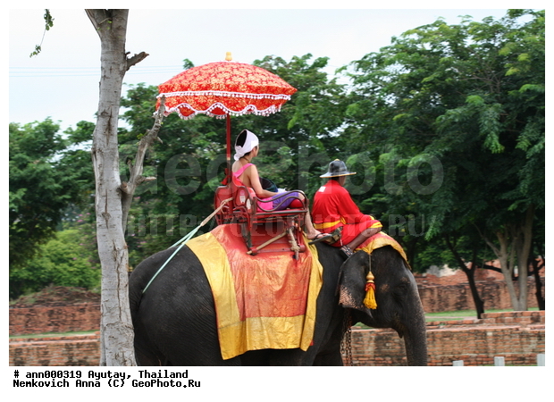 ����, ������, �������, ���-���������, �����, �������, �������, ����, �������, ������, ������, ����, ��������, �������, ���������, ����, �������, ������