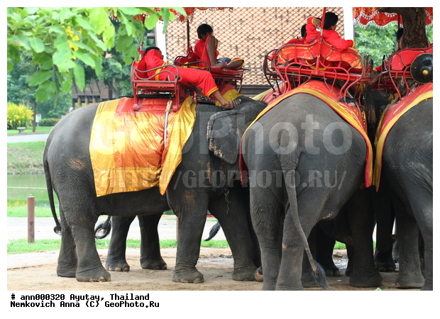 ����, �������, �������, ���-���������, �������, ����, ������, ����, �����, ��������, �������, �������, ���������, ����, ���, �������, �����