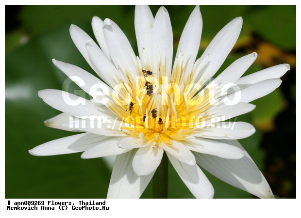 ����, �������, �����, �����, ������, ��������, �����, ���������, ������, ��������, �����, ������, ��������, ��������, �����������, �������, �����, ������, �����, ������������, ��������������, �������������, ��������������