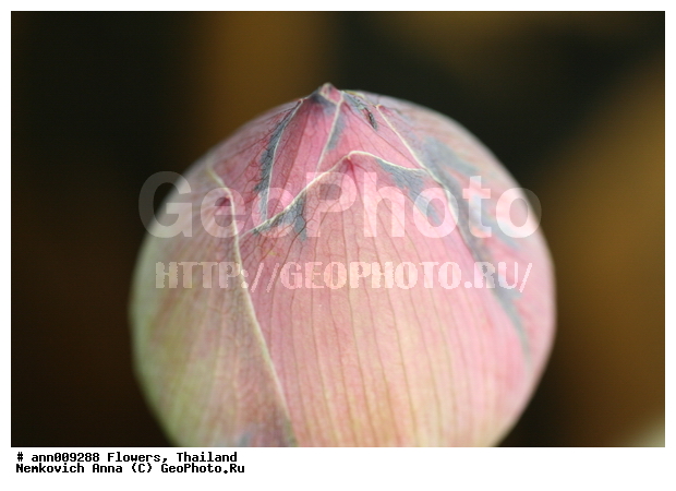 ����, �������, �����, ��������, ������, ��������, �������, ��������, �����, ������, �����