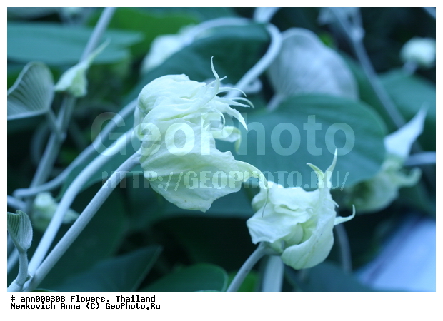 ����, �������, �����, �����, ������, ��������, ������, ��������, ��������, �������, �����, ������, �����, ������������