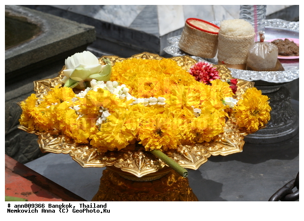 �������, ����������� ������, �������, ������, ����, ������, �����, �����, ���, �����