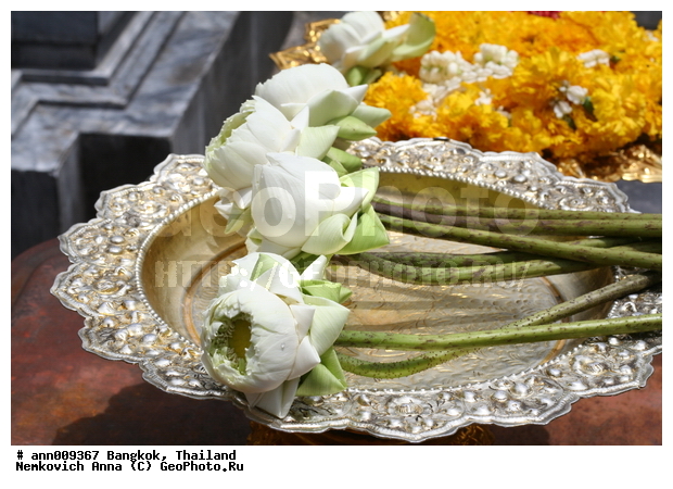 �������, ����������� ������, �������, �����, ����, ������, �������, �����, �������, �����