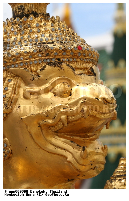 �������, �������, ����������� ������, �������, ����, �������, �����, �����, ������, �������, �����, �������, ��������, ��������, ������������, ������, ����������, ������, ������