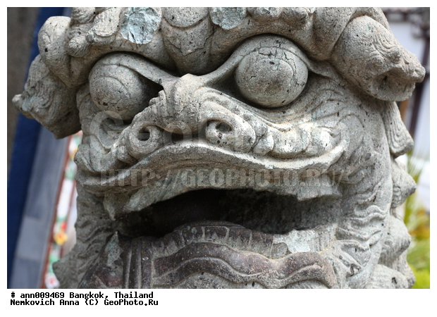 �������, ����������� ������, �������, ������, ������, �������������� ��������, ������, ������