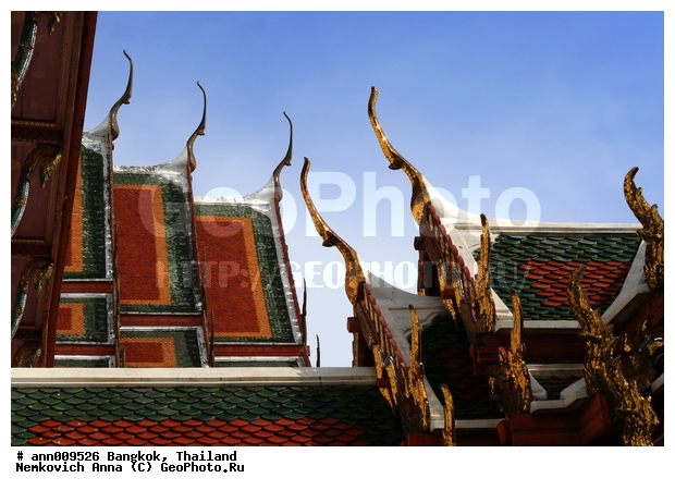 �������, ����������� ������, �������, �����������, ������, �����, �����, ����, ������, ��������, ���, ������, ��������, ������