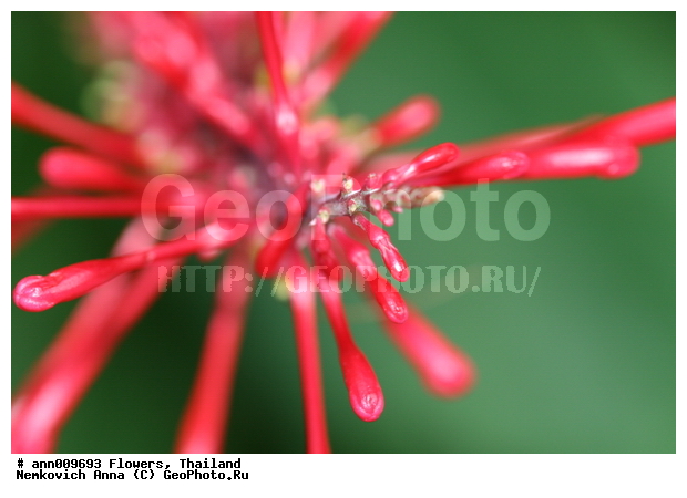 ����, �������, �����, �������, ��������, ������, ��������, ��������, �����������, �������, �����, ������, �����, ������������