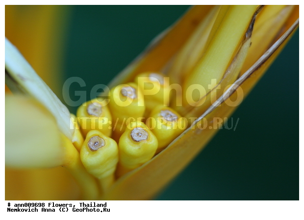 ����, �������, �����, ������, ��������, ������, ��������, ������, ��������, �����������, �������, �����, ������, �����, ������������