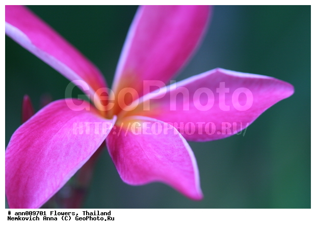 ����, �������, �����, ��������, ������, ��������, �������, ��������, �����������, �������, �����, ������, �����, ������������