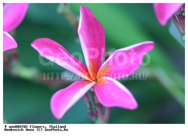 ����, �������, �����, ��������, ������, ��������, ��������, �����������, �������, �����, ������, �����, ������������