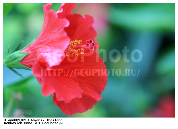 ����, �������, ����, �����, �������, ��������, ������, ��������, ��������, �������, �����, ������, �����